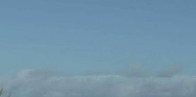 04:31: Control de carreteras: Episodio 11 | Discovery Max | 12/10 2025