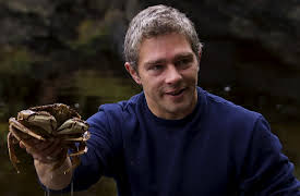 Alaskan Bush People Season 1: Fight or Flight