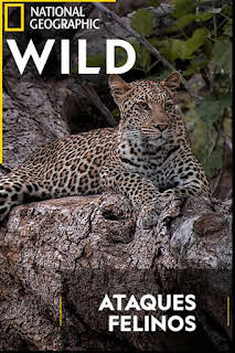 00:30: Ataques felinos | Nat Geo Wild | 3/18 2026