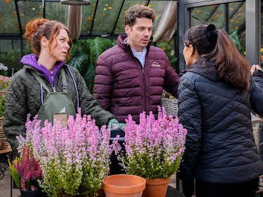 10:50: Sturm der Liebe | SWR Fernsehen RP | 9/22 2026