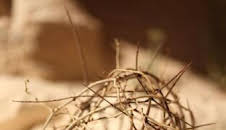 Expedientes misterio de la Antigüedad: El misterio de María Magdalena