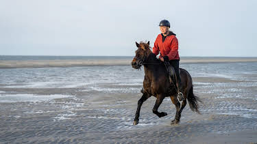 20:15: die nordstory Spezial | Radio Bremen | 5/3 2026