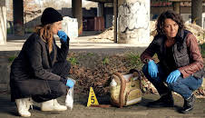 Tatort: Der Stelzenmann