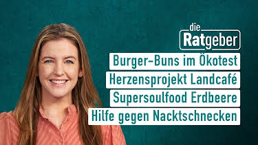 08:20: Die Ratgeber | HR Fernsehen | 5/29 2026