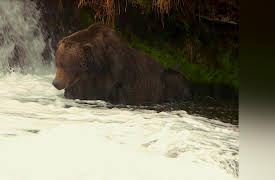 Guiding Alaska, Season 1: Bears!