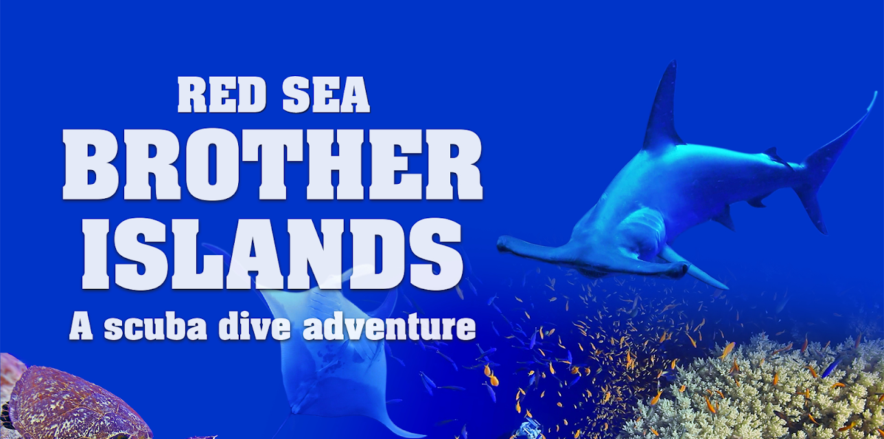 Red Sea: Brother Islands a Scuba Dive Adventure (2024)