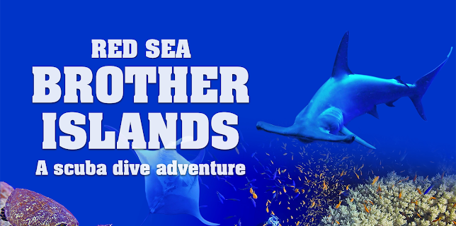 Red Sea: Brother Islands a Scuba Dive Adventure (2024)