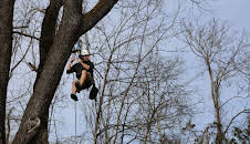 Treehouse Masters
