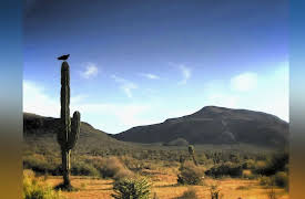 Monsters and Mysteries in America Season 1: Desert Wasteland