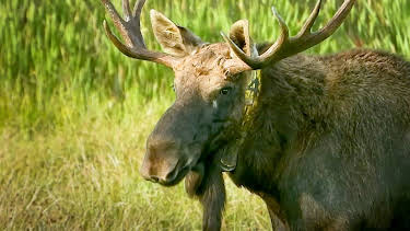 19:00: Heute im Osten - Reportage | MDR Fernsehen | 1/24 2026