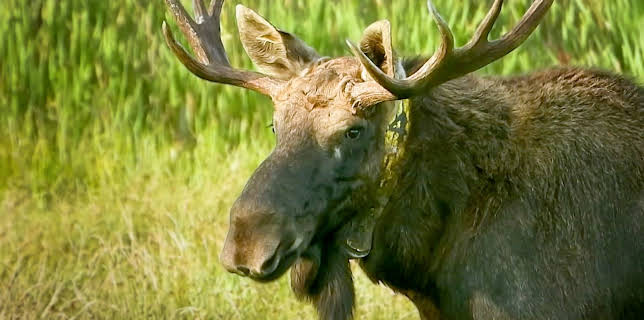 18:00: Heute im Osten - Reportage | MDR Fernsehen | 1/24 2026