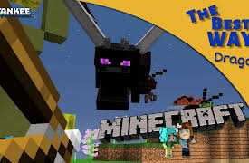 Wild's Best Way by Tankee: They Don't Stop!! | Dragons on Mineplex | Wild's Best Way #6