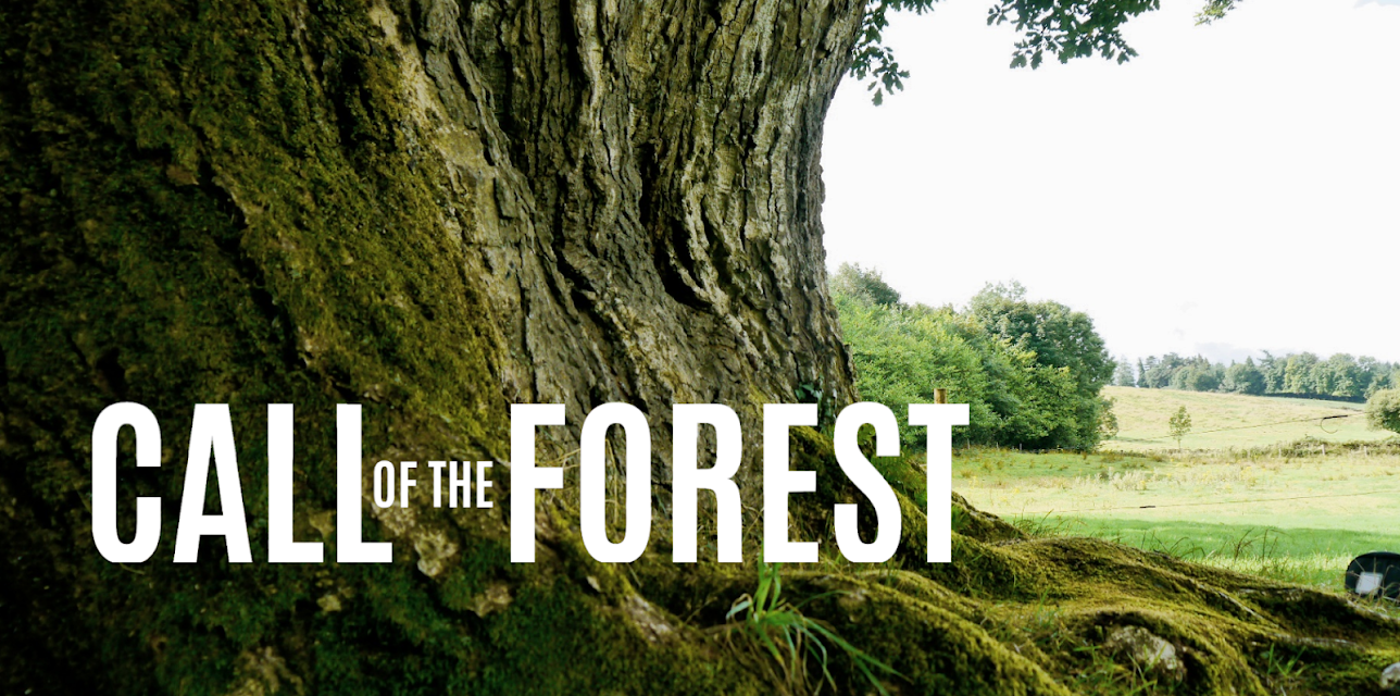 Call of the Forest: The Forgotten Wisdom of Trees (2016)