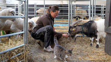 01:20: Die Nordreportage: Unter Lämmern und Kühen | NDR Fernsehen | 4/16 2026
