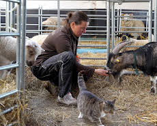 Die Nordreportage: Unter Lämmern und Kühen