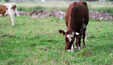 Hofgeschichten - Zukunft aufm Land