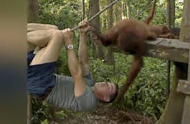 The Jeff Corwin Experience: Season 1: A Wild Man in Borneo