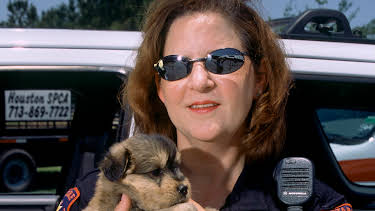 10:20: Animal Cops Houston (S9 E8) (S9) | Animal Planet | 5/29 2026