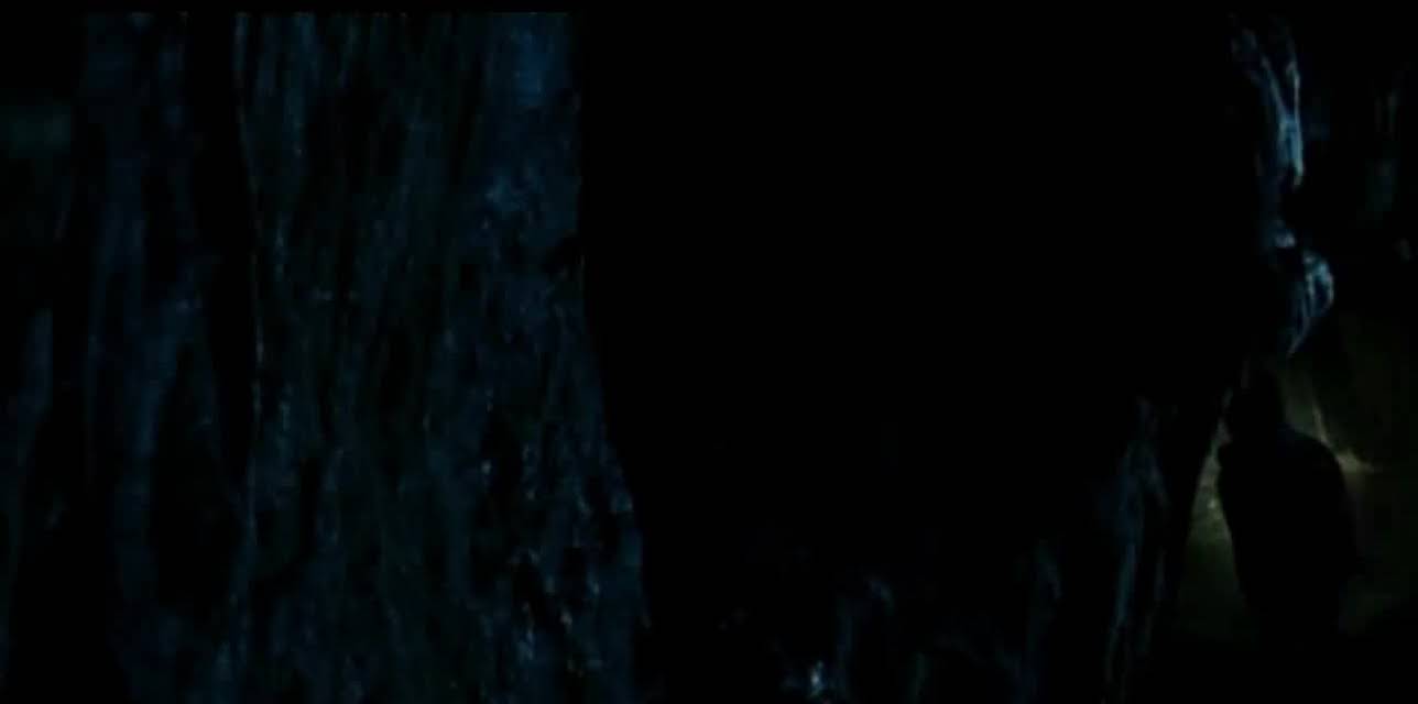 The Orphanage (2008)