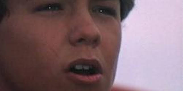 Free Willy 2: The Adventure Home (1995)