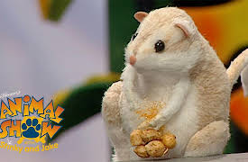 Jim Henson's Animal Show: Featuring: Gila Monster, Kangaroo Rat (Desert Rat).