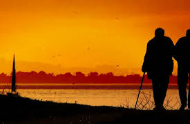 A Curious World: Live Long & Prosper