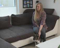 Der Hundeprofi - Rütters Team