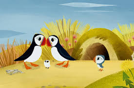 Puffin Rock Season 1: Puffin Practice