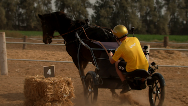 04:00: Superstars 2025 (S9 E13) (S9) | Kanal 9 | 10/20 2026