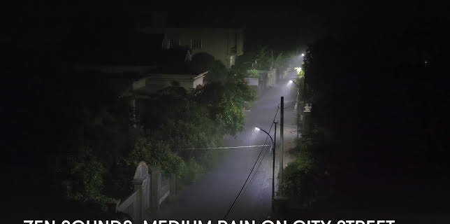 Zen Sounds: Medium Rain on City Street (2023)