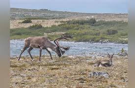 Moment Of Impact: Membership Has Its Privileges