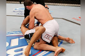 2013 Knockout of the Night: Anthony Perosh vs. Vinny Magalhaes UFC 163