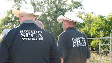 2:00 PM: Animal Cops Houston (S5) | Discovery Channel | 9/29 2026