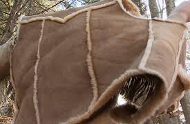 Sasquatch Mountain Man: Texas Aoudad