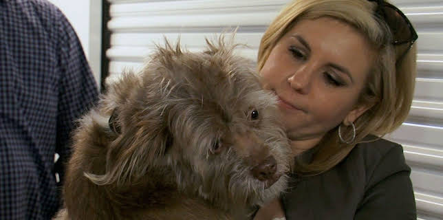 20:40: Storage Wars - Die Geschäftemacher | ProSieben Maxx | 11/30 2025