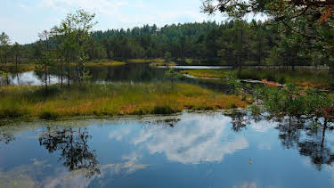 11:50: Abenteuer Wildnis | BR Fernsehen | 4/24 2026