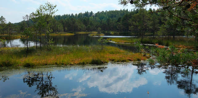 02:30: Wildes Baltikum (2/2) | RBB Fernsehen | 11/5 2025
