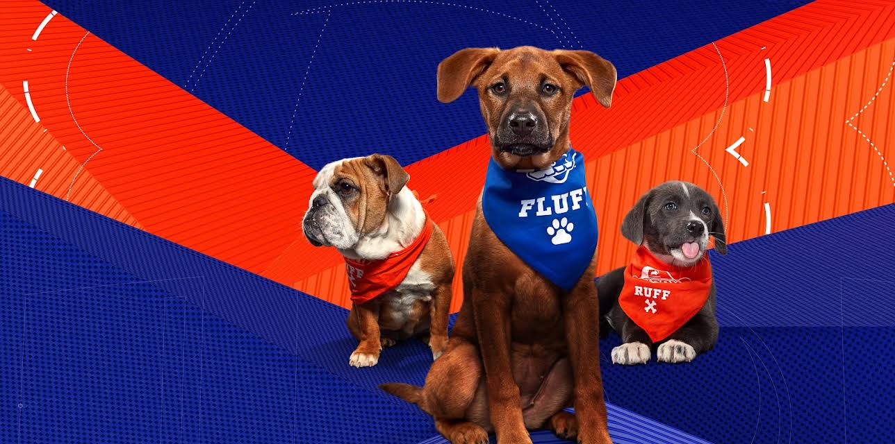 Road to Puppy Bowl