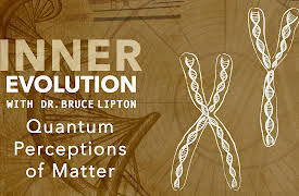 Inner Evolution: Quantum Perceptions of Matter