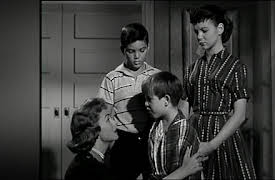 The Donna Reed Show: Guest in the House