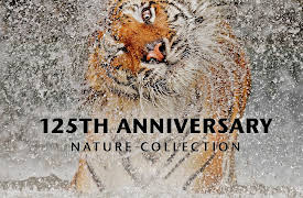 National Geographic 125th Anniversary Nature Collection Season 1: Elephant