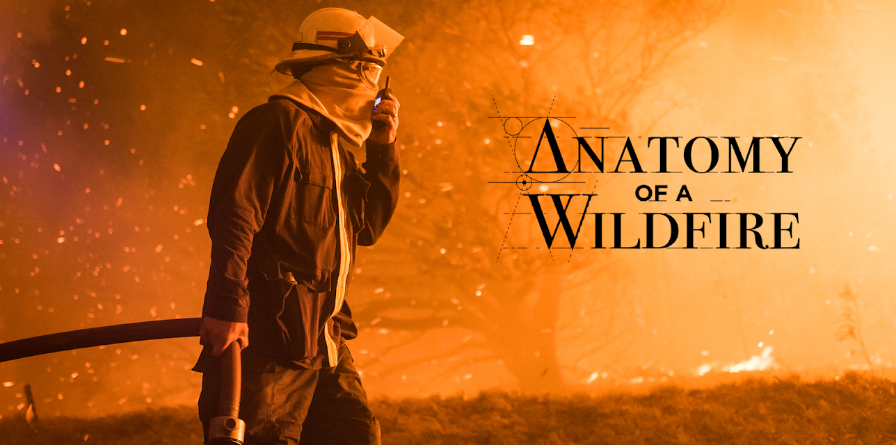 Anatomy Of A Wildfire