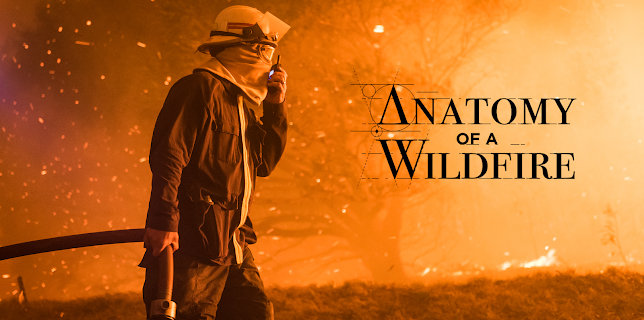 Anatomy Of A Wildfire