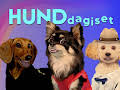 Hunddagiset