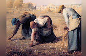 Living the French Revolution and the Age of Napoleon: Privilege: Old Regime Society