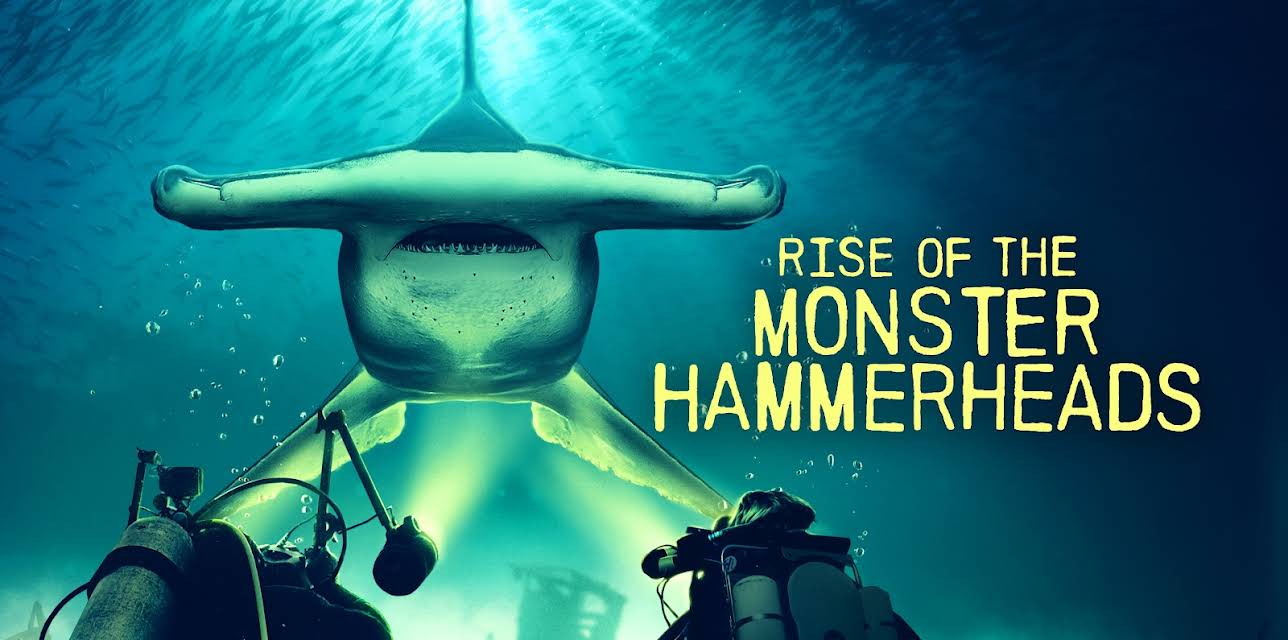 Rise of the Monster Hammerheads