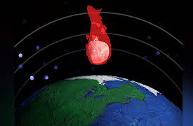 Space Crafts: Asteroids, Comets & Meteors: Which Should We Be Afraid Of?