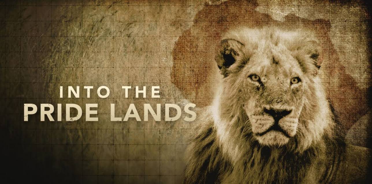 Into the Pride Lands