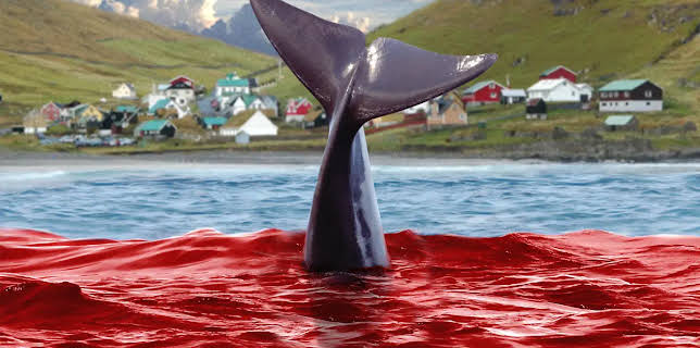 A Taste of Whale (2022)