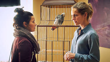 11:10: Die Heiland - Wir sind Anwalt (1) | MDR Fernsehen | 4/11 2026